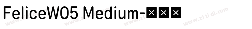 FeliceW05 Medium字体转换